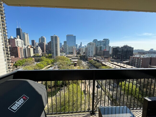 View from Balcony - 1360 N Sandburg Ter