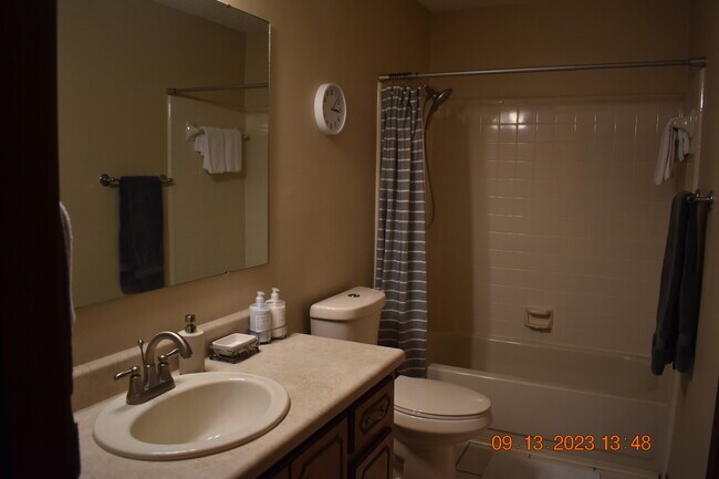 Downstairs' Master Bath - 3126 Station Ct