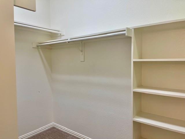 Building Photo - 9137 Ripley St