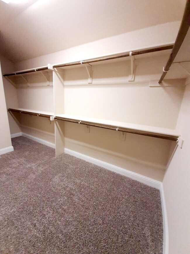 Building Photo - Beautiful 4 Bedroom, 2 Bath in sought after Arlington Neighborhood!