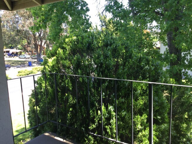 Building Photo - Cute upper-level 1bd. in Rohnert Park ~ Available NOW