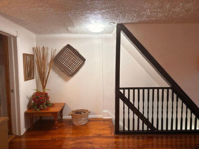 Top of steps entering apt. - 895 Old Wilmington Rd