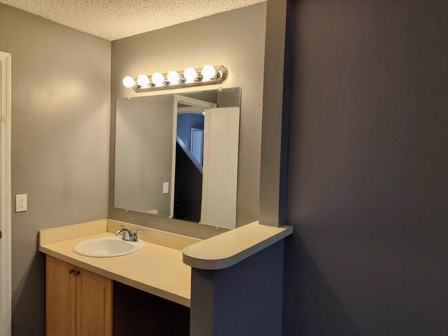 Master's Vanity Mirror - 67 Silver Falls Cir