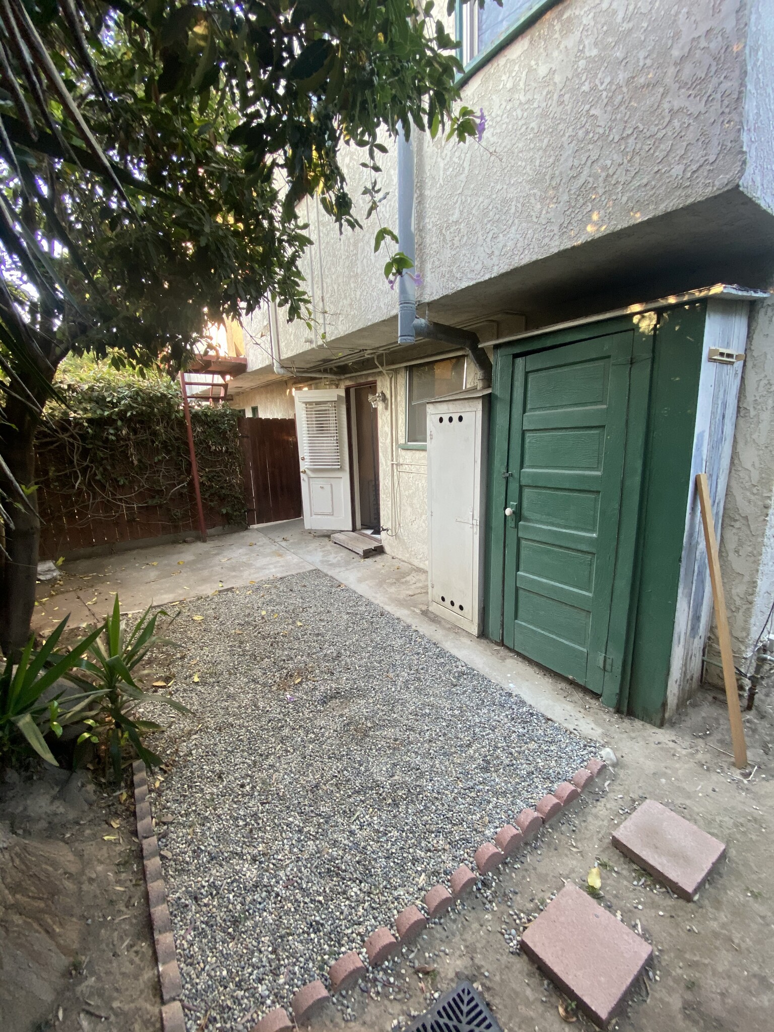 Backyard with storage closet - 777A Freeman Ave