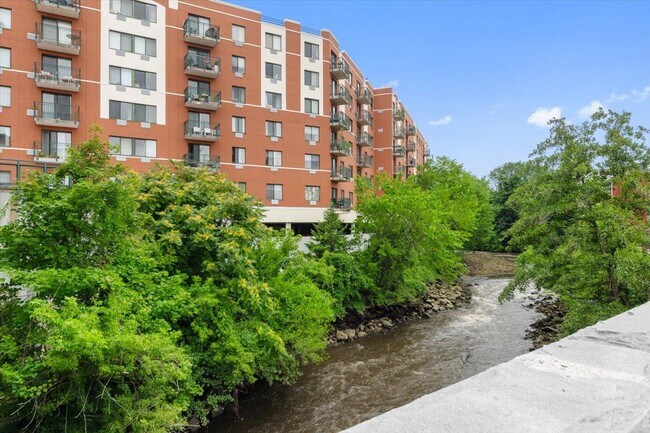 Building Photo - 123 Mamaroneck Ave