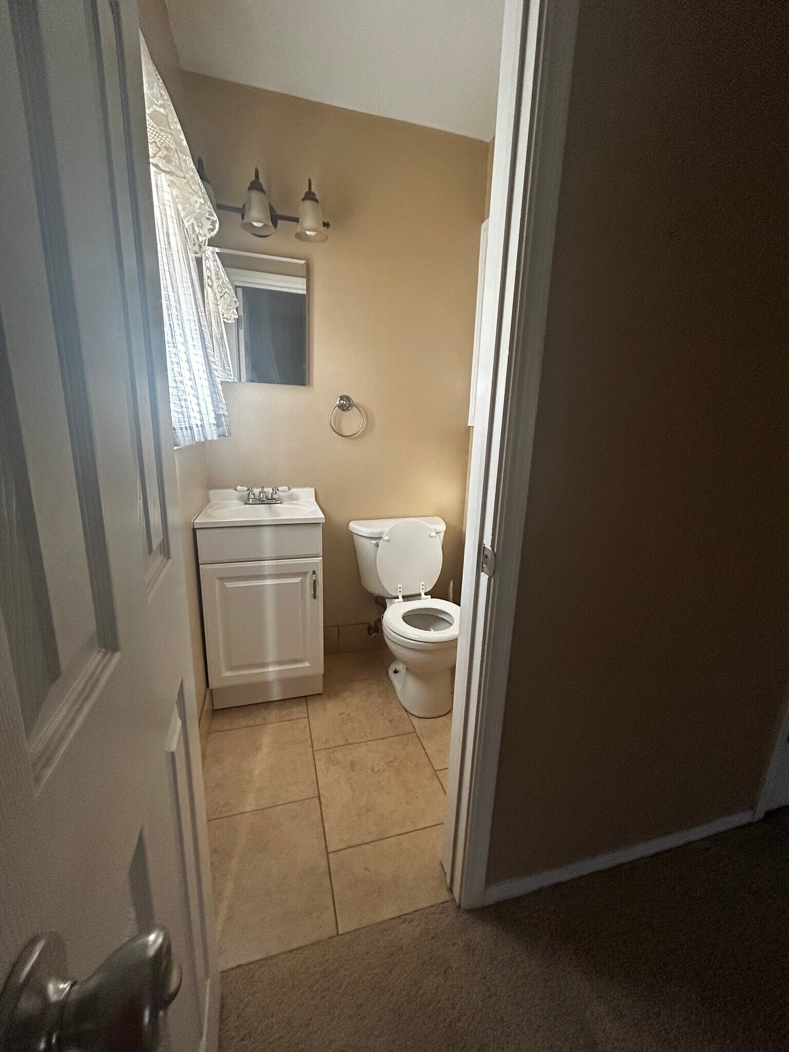1/2 bath in the Master bedroom - 419 Grandview Blvd