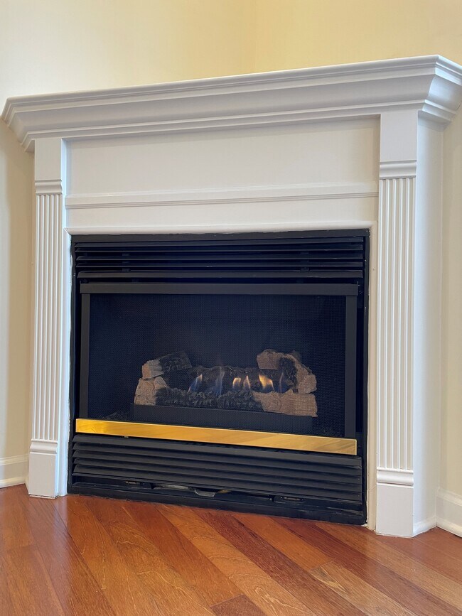 Gas Fireplace on main level - 3817 Picasso Ct