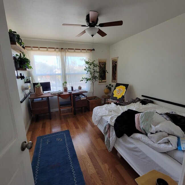 Building Photo - AUGUST 2026 SDSU AREA HOME - 4 bedrooms / 3 bath - With Big yard on Canyon!