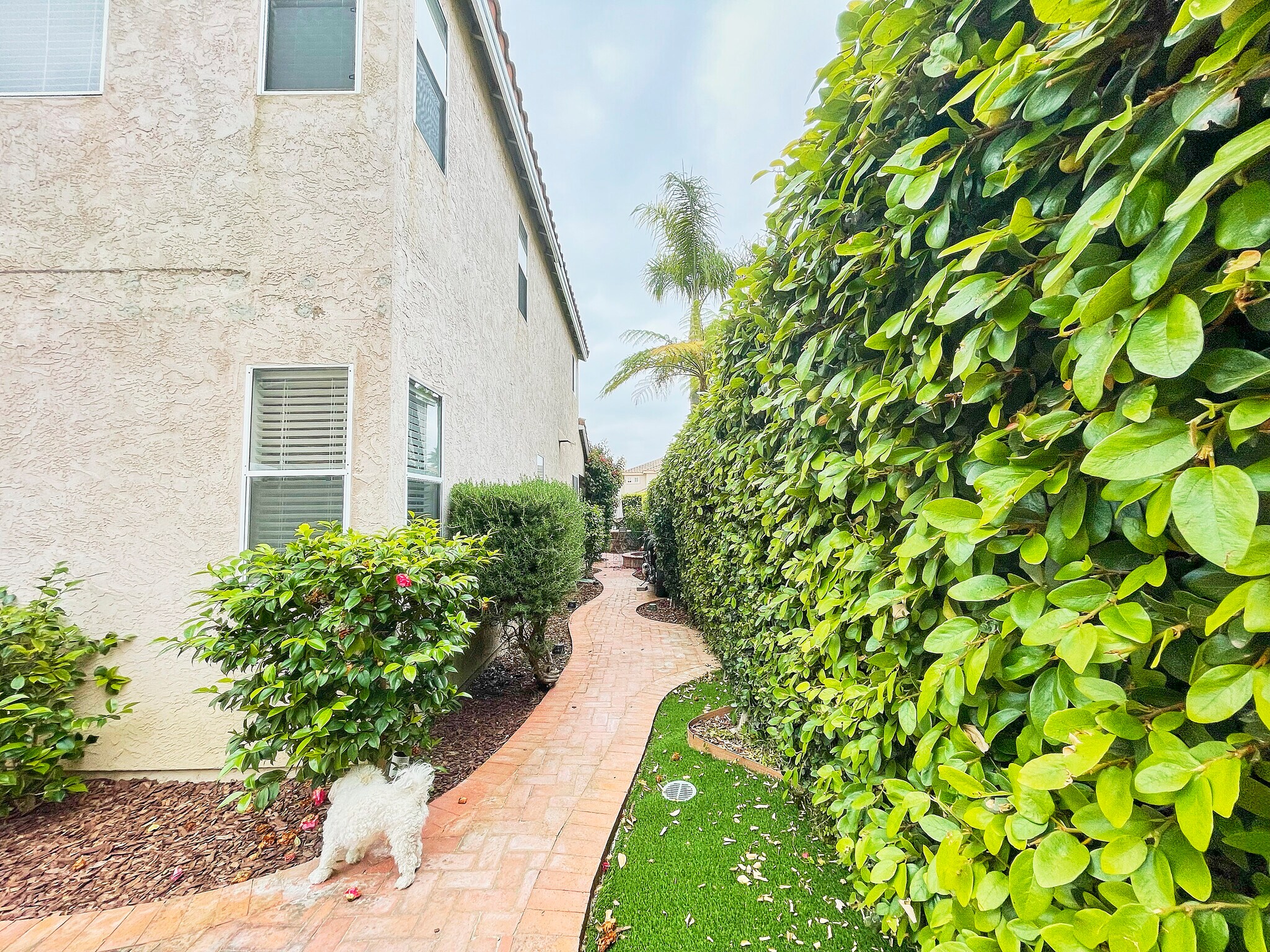 Building Photo - 951 Norella St