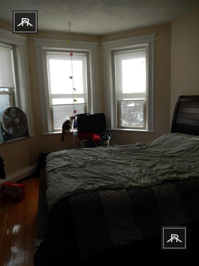 Building Photo - 1 bedroom in Brighton MA 02135