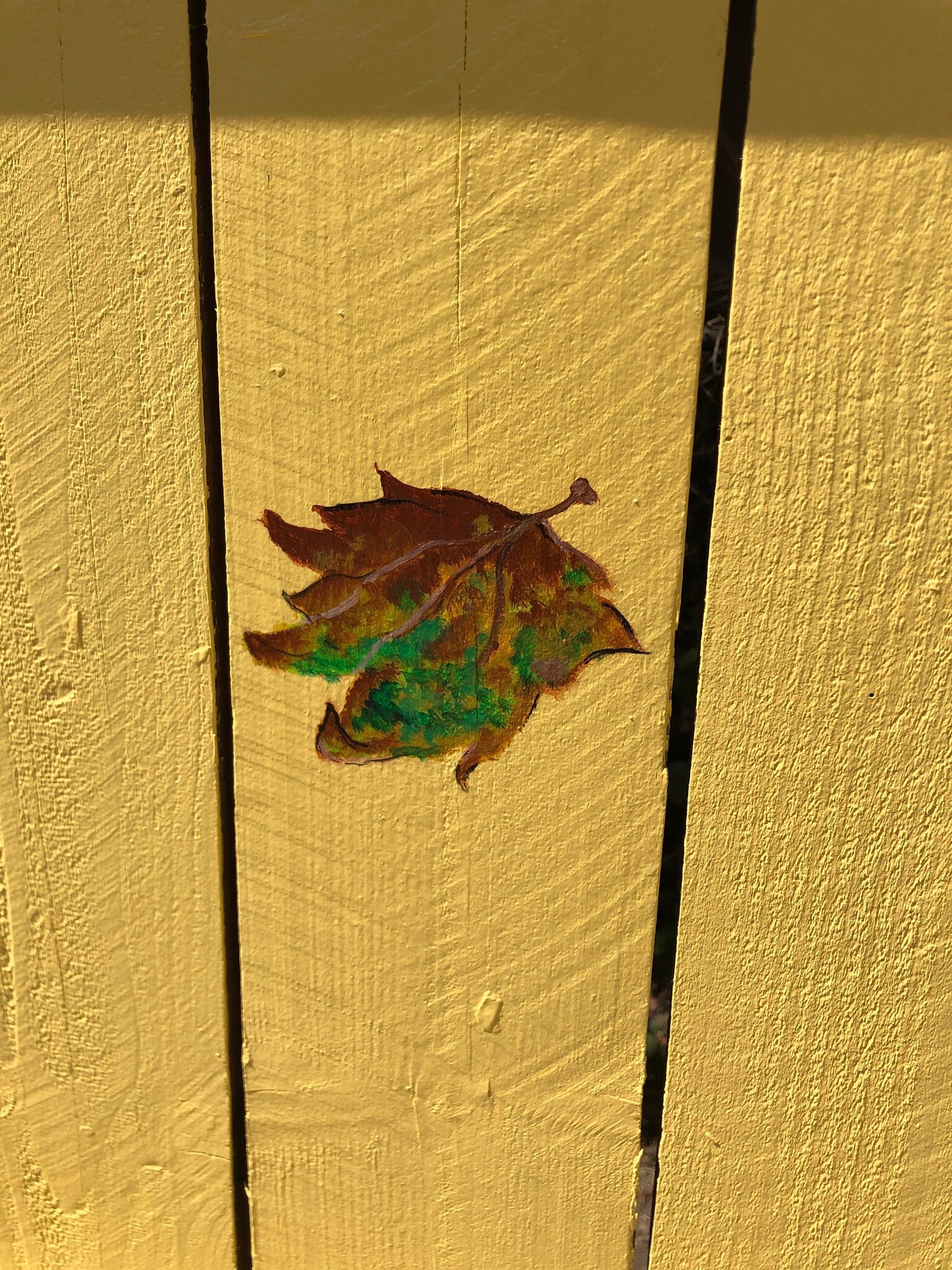 Building Photo - 647 Brooks Ave