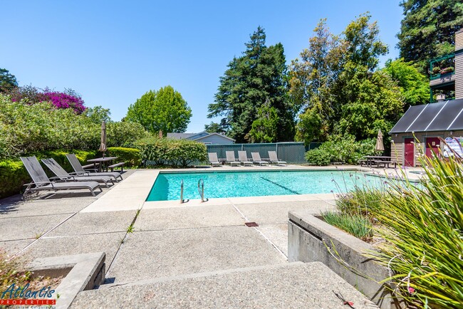Building Photo - 320 Soquel Ave