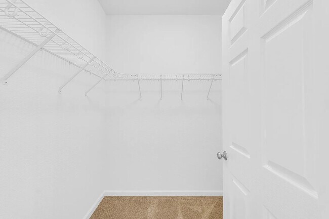 Building Photo - 104 Essex Ln