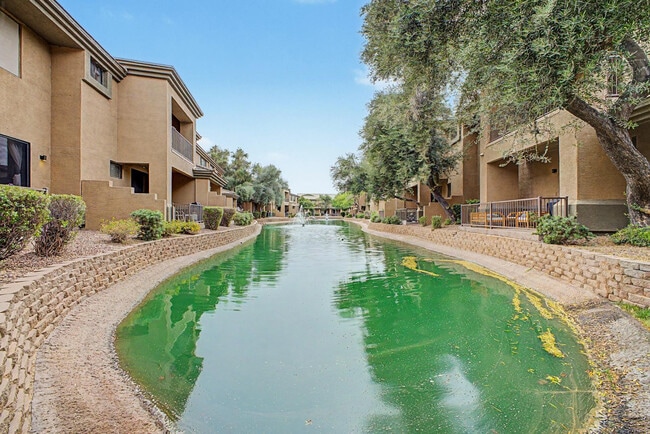 Building Photo - 705 W Queen Creek Rd