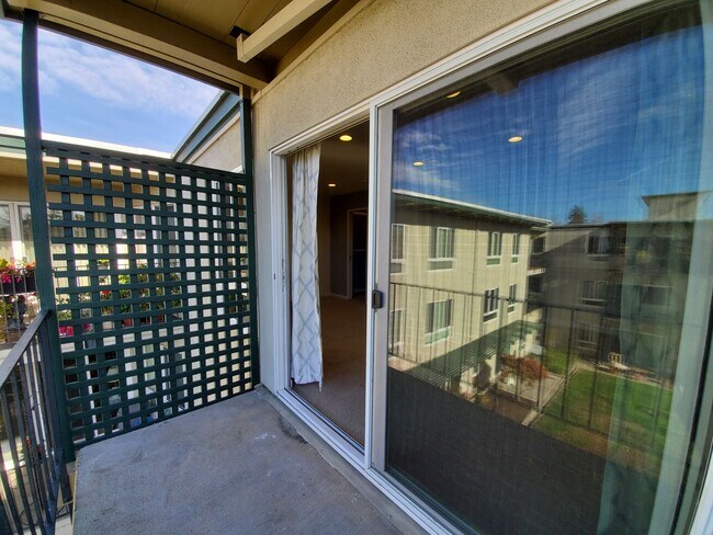 Building Photo - Top Floor studio with view of courtyard