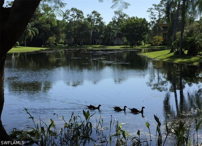 Building Photo - 1645 Spoonbill Ln