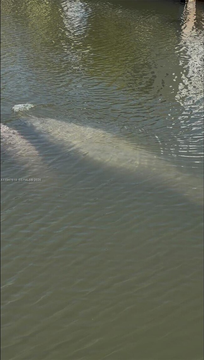 Building Photo - 11 Flamingo Rd