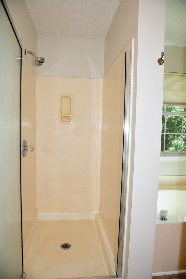 Building Photo - 3 Bedroom in Bluewater Bay!