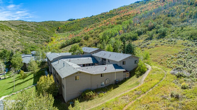 Building Photo - Bright and light Prospector Condo