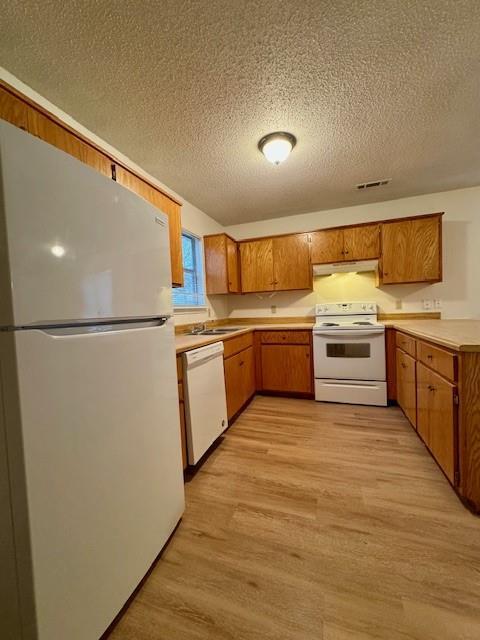 Building Photo - 729 W Beck Dr