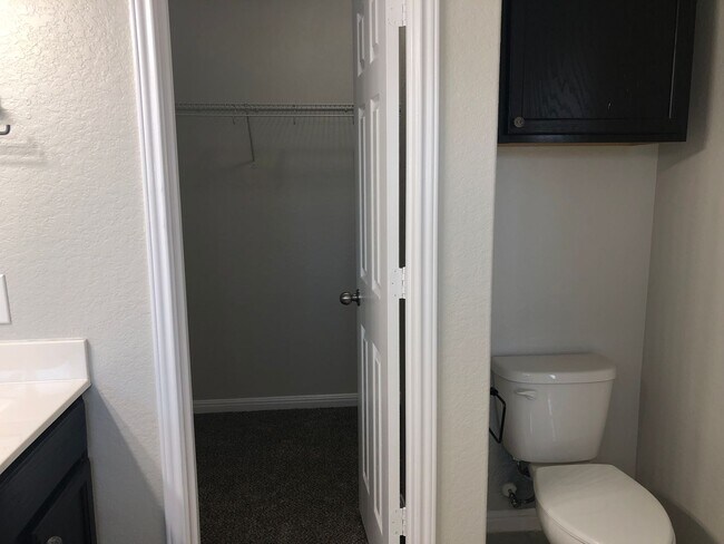 Building Photo - Beautiful 3/2 Single Story Home in New Bra...