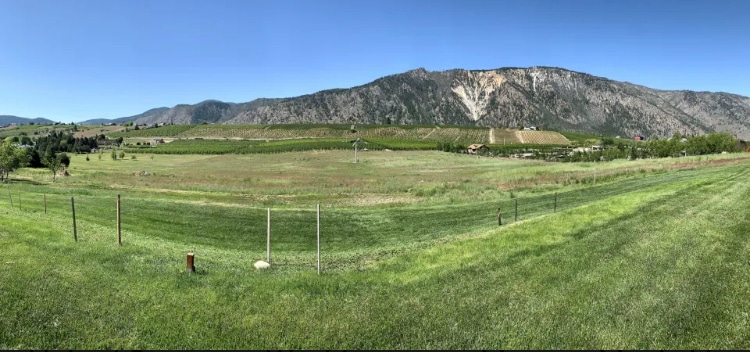 Building Photo - 2365 Washington St