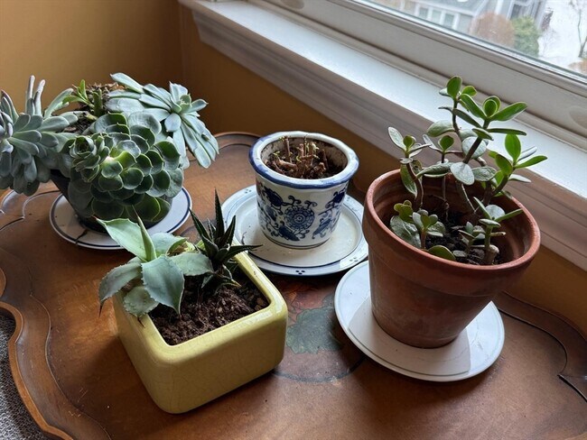 Building Photo - 184 Bishops Forest Dr