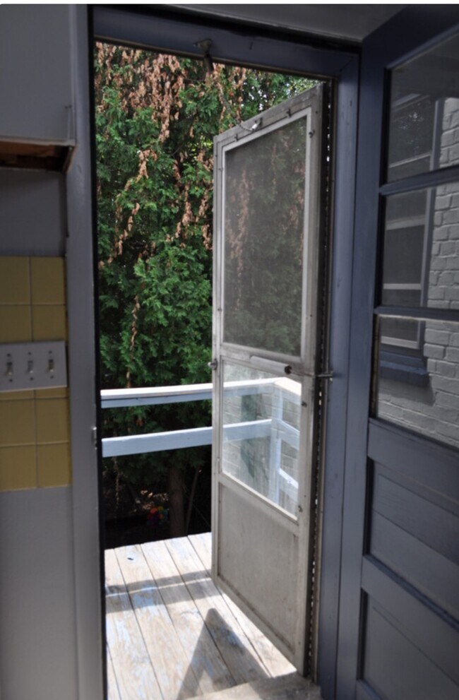 kitchen porch - 201 Kelker St