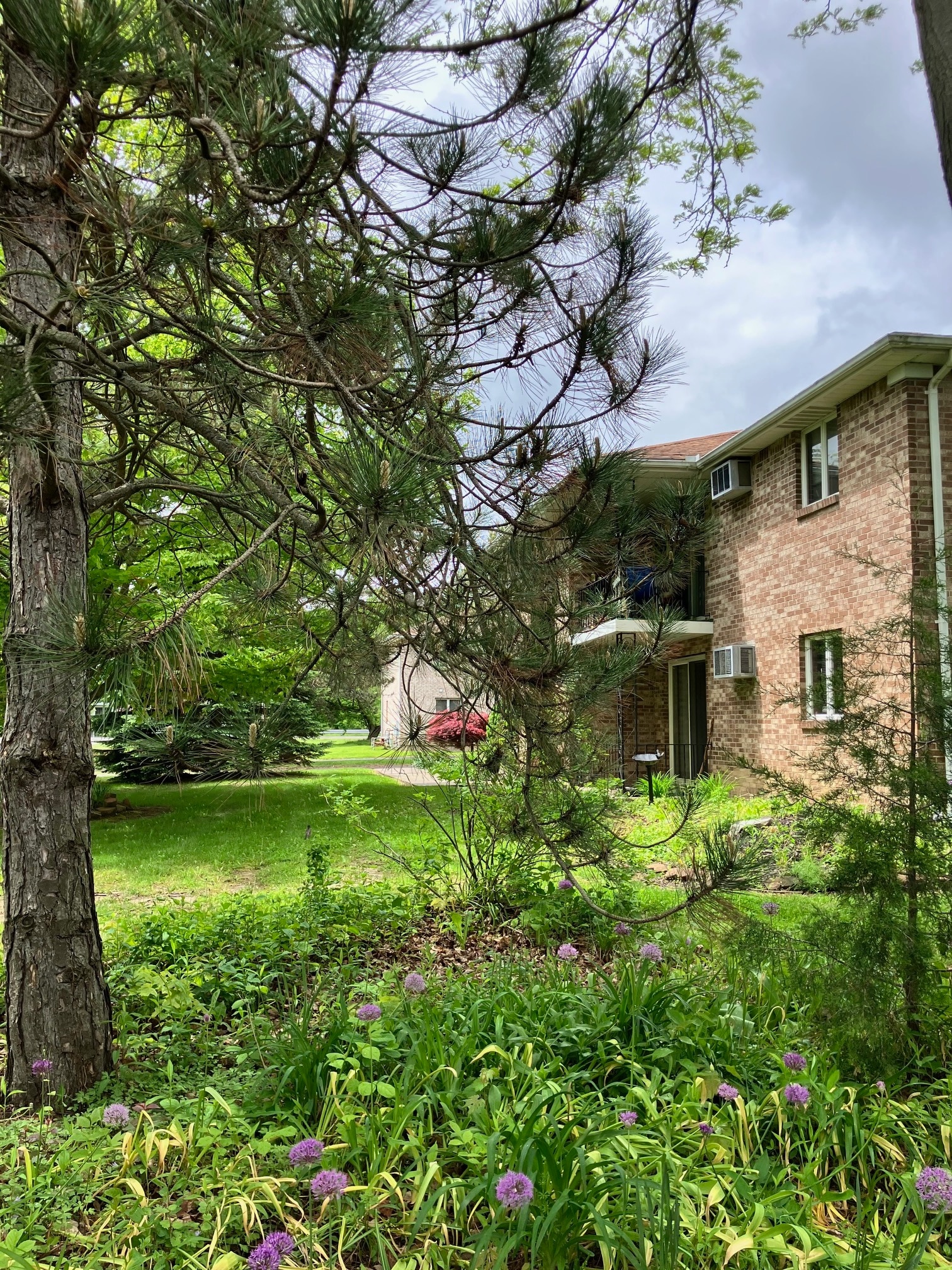 Building Photo - 6878 Nickis Ln