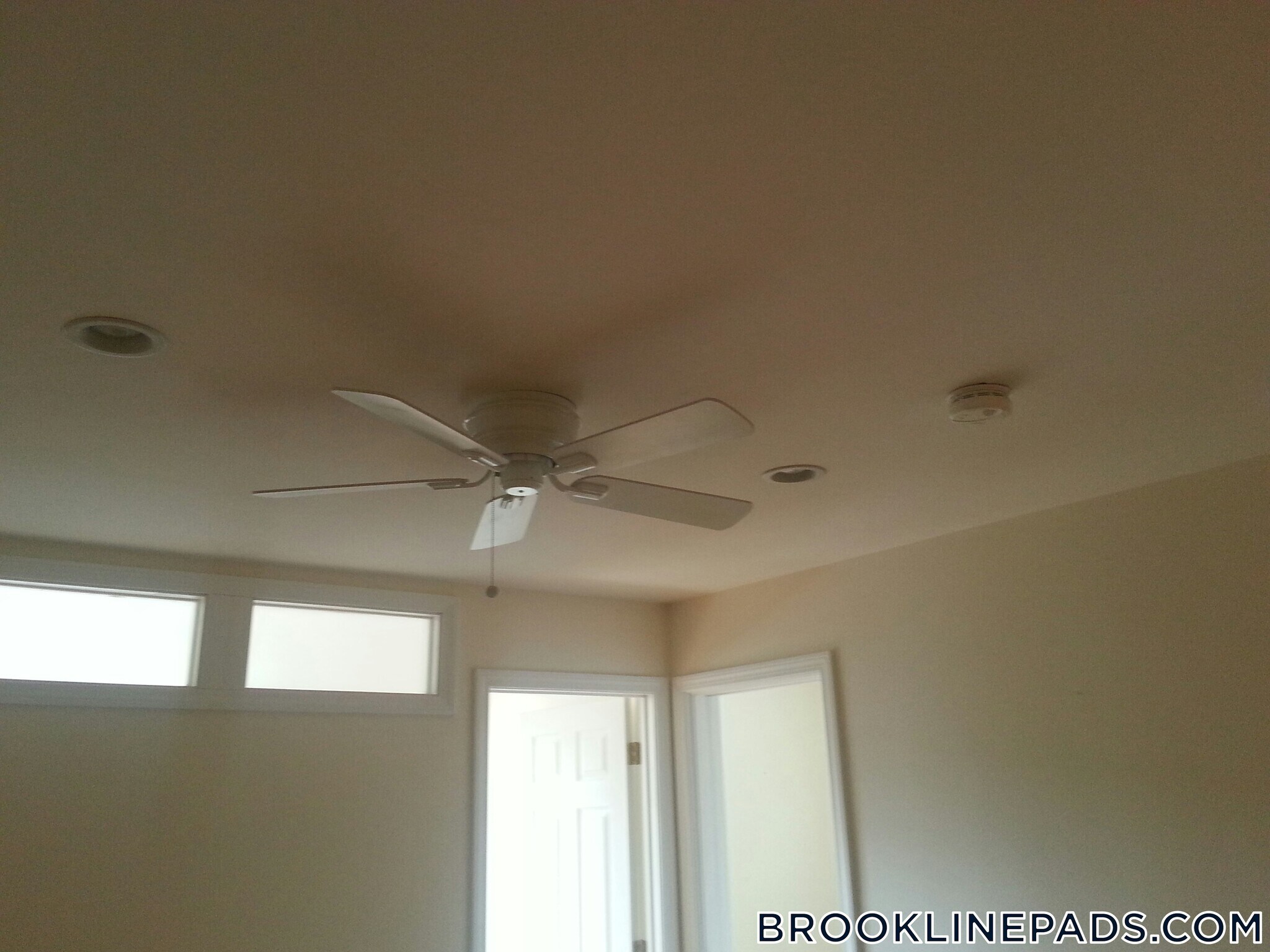 Building Photo - 66 Egmont St