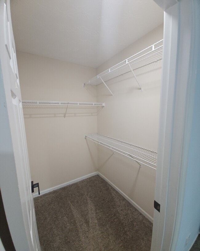 Building Photo - 817 Pine Hill Ct