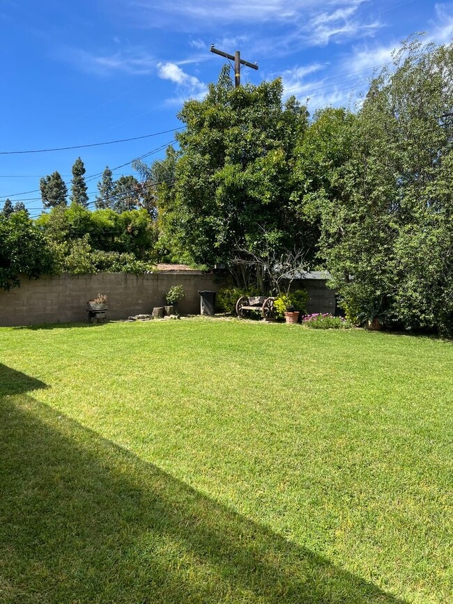 Building Photo - 2 Bedroom, 1 Bath Home with large yard in Lakewood