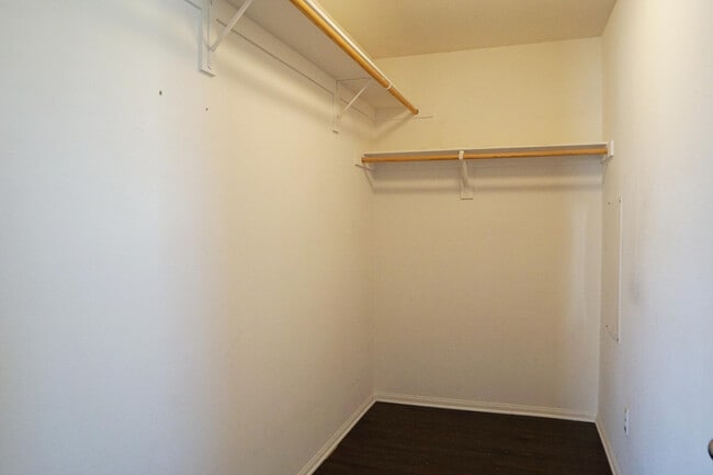 Building Photo - 510 Calle Vibrante