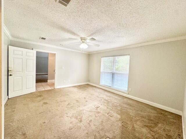 Building Photo - 1023 Stephen Dr