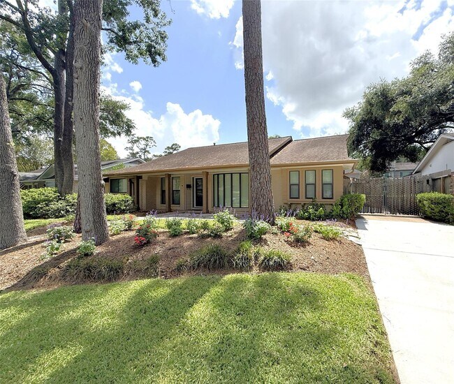 Building Photo - 5007 Shady Nook Ct