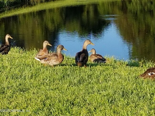 Building Photo - 237 N Hidden Tree Dr