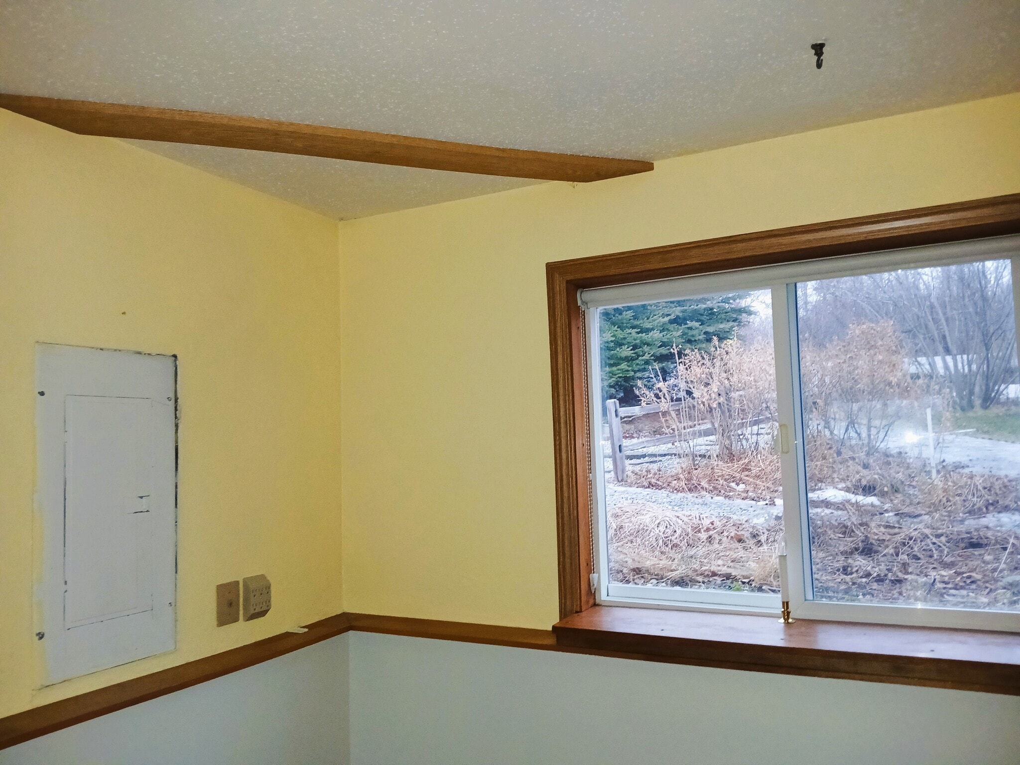 downstairs den/bedroom right - 15160 E Robin Ln
