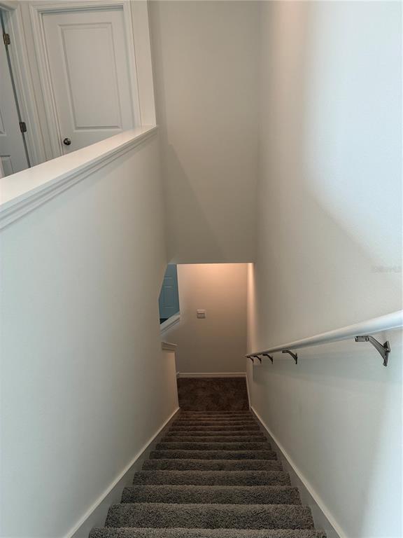 Building Photo - 32619 Turtle Grace Lp