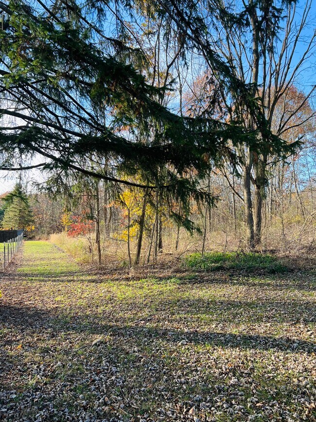 Building Photo - 6712 Grove Rd