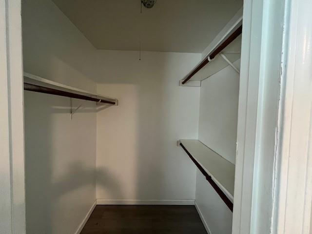 Building Photo - 1706 Oakwell Ln
