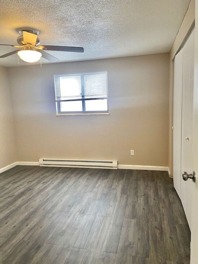 Building Photo - Beautifully Remodeled 2 Bedroom 1 Bath Apa...