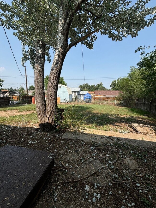Building Photo - 3 Bedroom, 1 Bathroom Near Fort Carson - A...