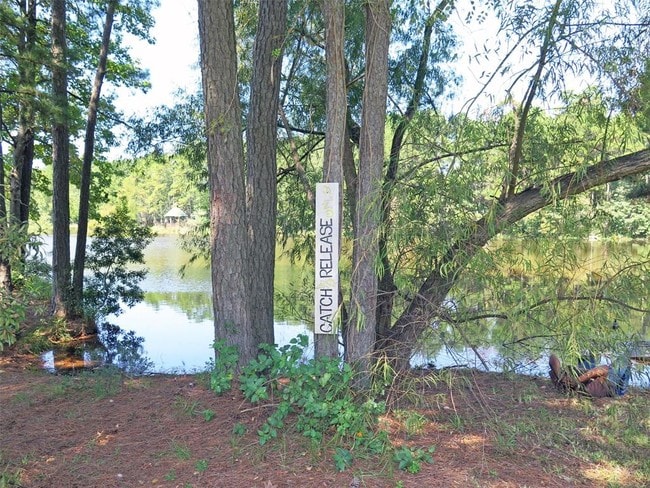 Building Photo - 118 Artesian Way