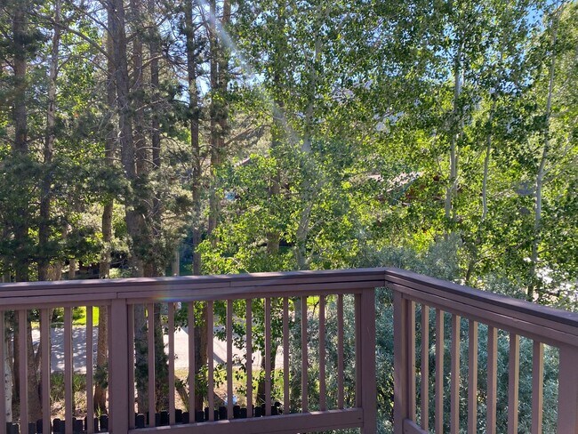 Building Photo - Seasonal Furnished rental