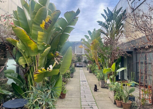 Building Photo - Bright Live-Work Studio & Tall Ceilings on Adeline in Oakland
