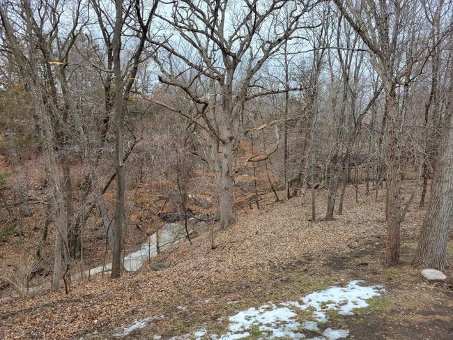 Building Photo - Upscale and Spacious Cedar Falls House for...