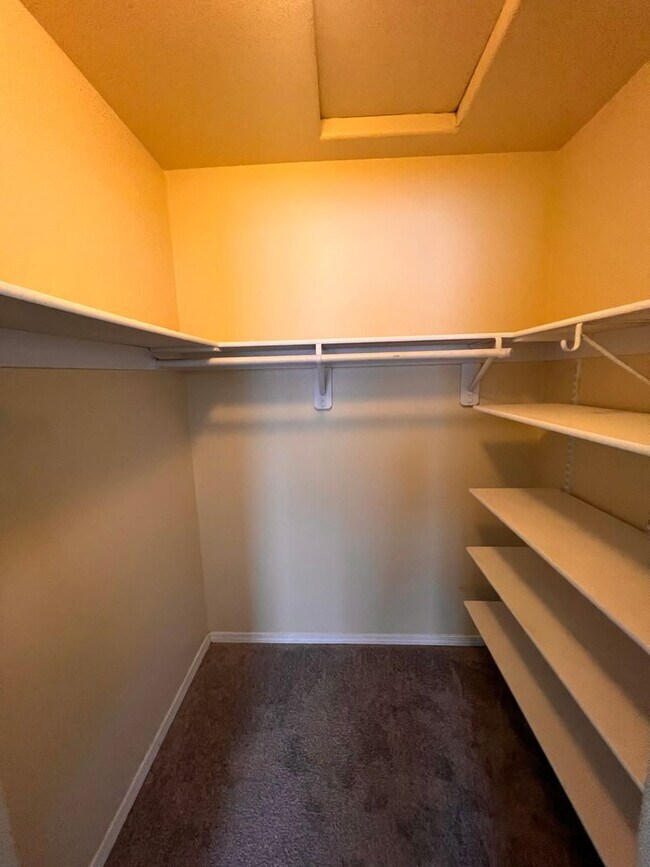 Building Photo - Beautiful 3 bedroom/2bath with spacious deck and backyard