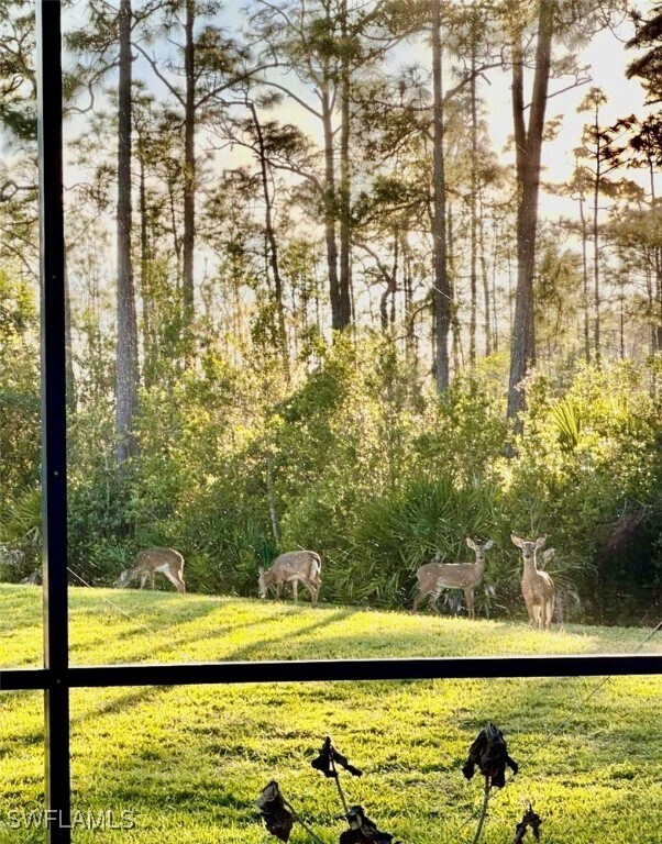 Building Photo - 20516 Ardore Ln