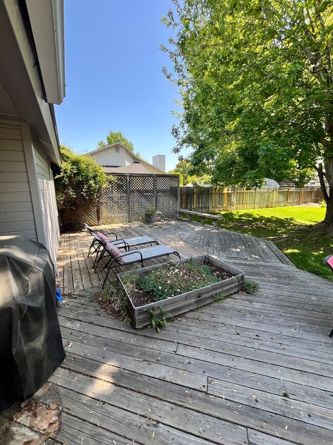 Building Photo - Newly Renovated 3 bed 2 bath home in the h...