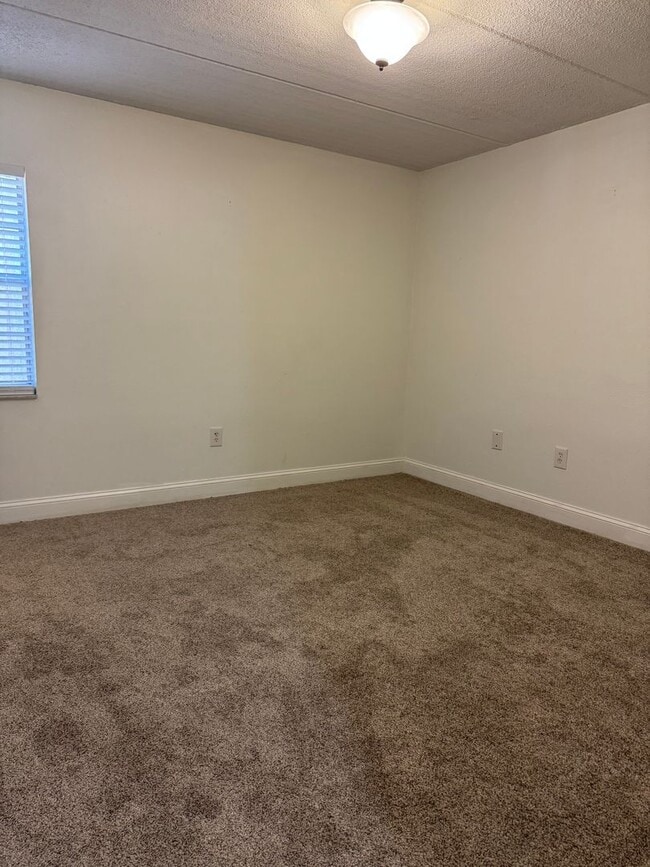 Building Photo - 2/1 Condo in South Tampa